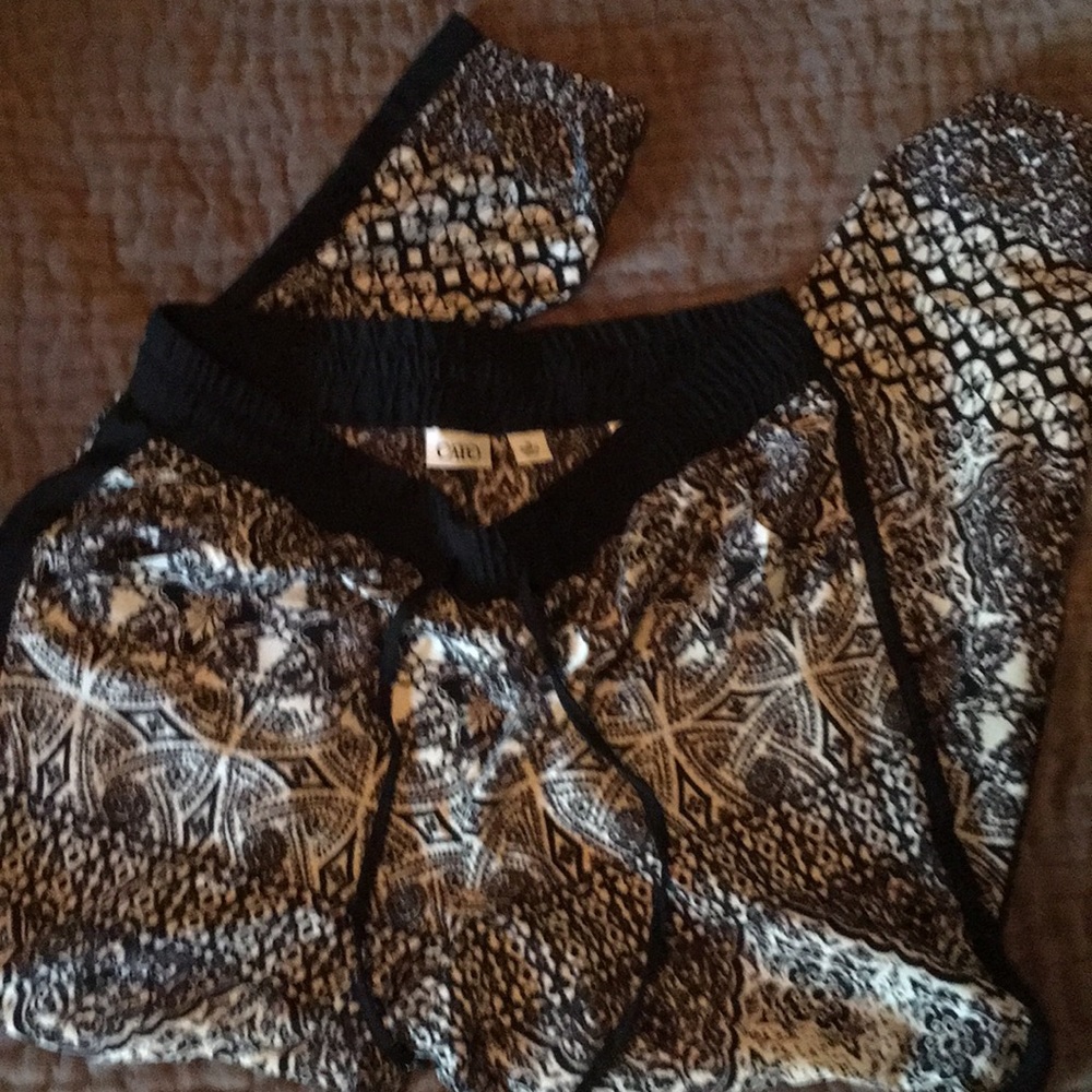 Polyester pants